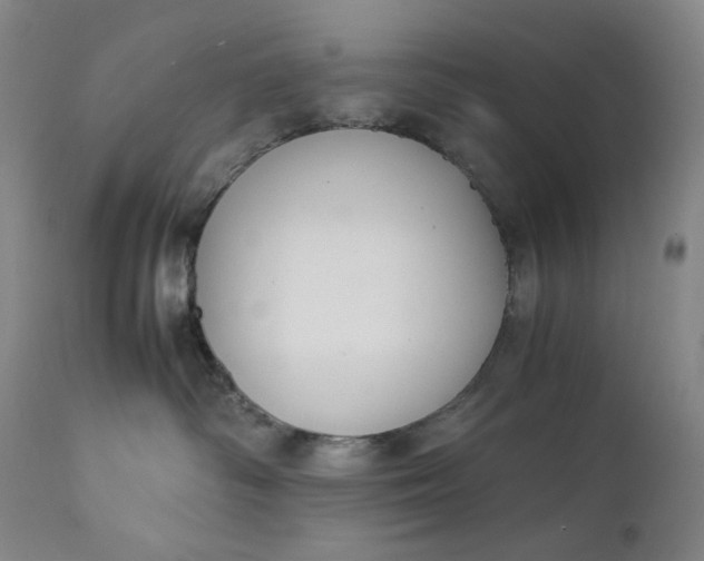 X0000111210334200907151443