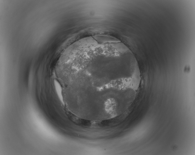 X0000111210335200907151443