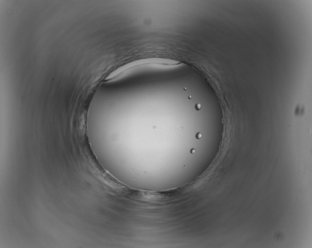 X0000111210336200907151443