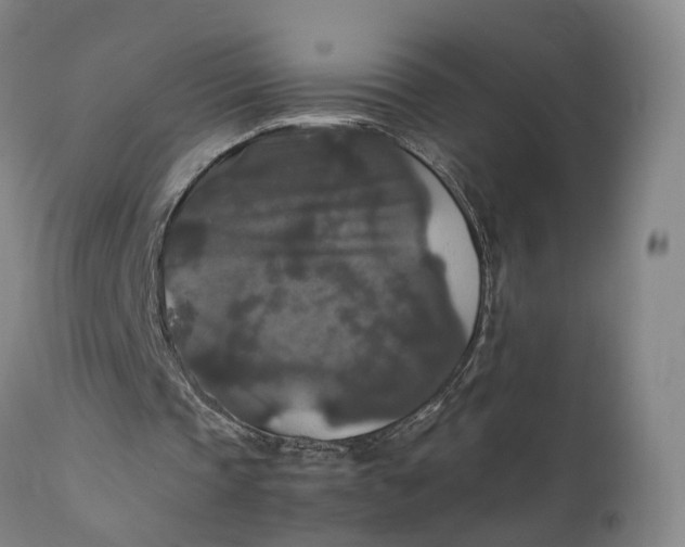 X0000111210337200907151442