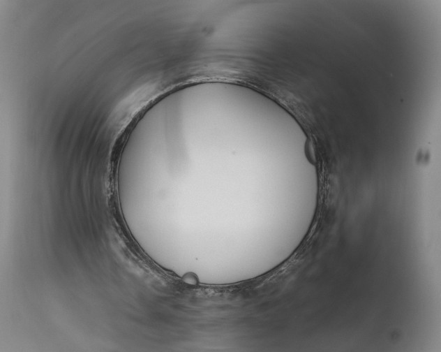 X0000111210338200907151442