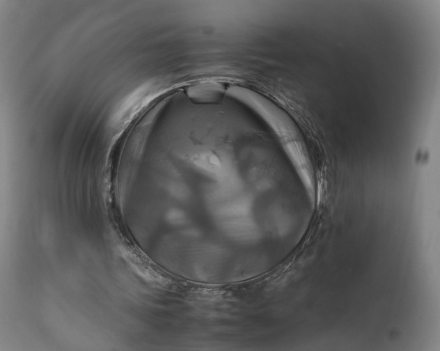 X0000111210339200907151442