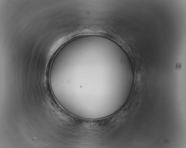 X0000111210340200907151442