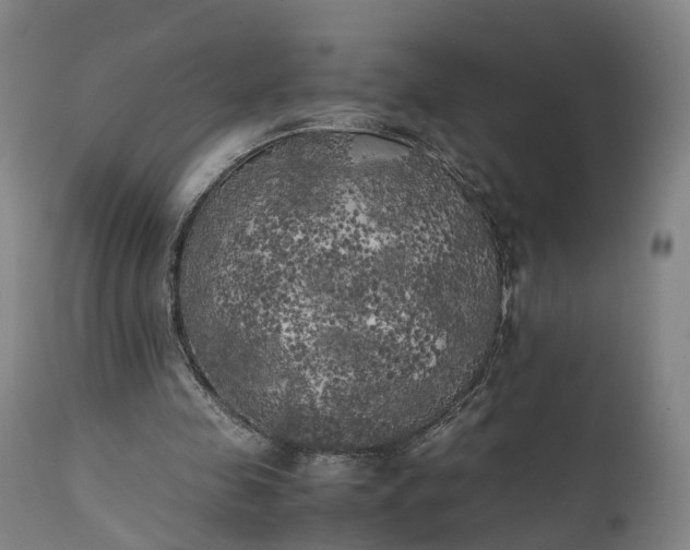 X0000111210341200907151442