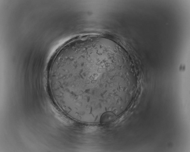 X0000111210342200907151442