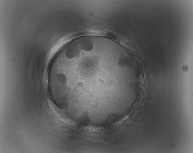 X0000111210343200907151442