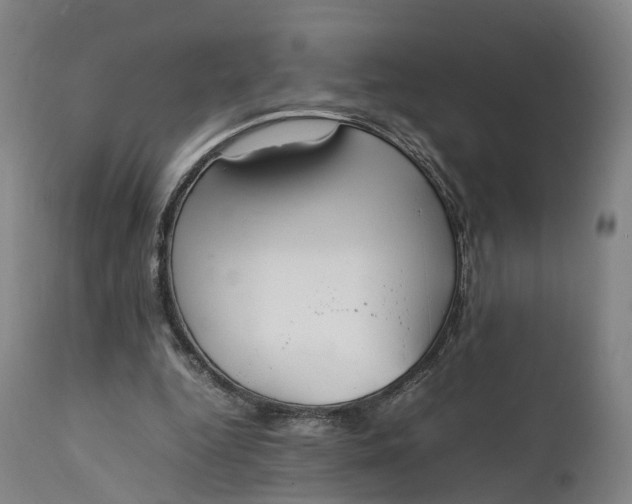 X0000111210344200907151442