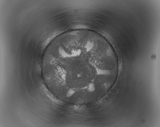 X0000111210345200907151442