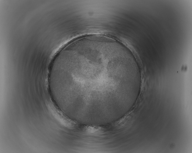 X0000111210346200907151442