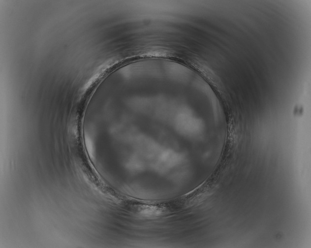 X0000111210347200907151442