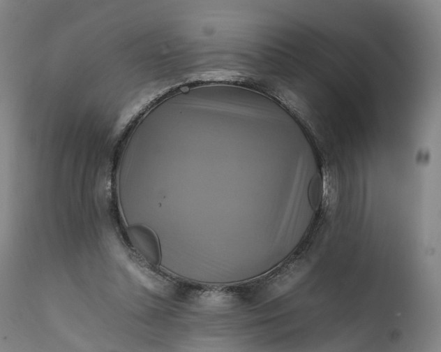 X0000111210348200907151442