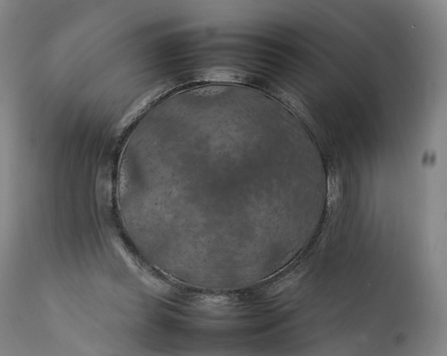 X0000111210349200907151442