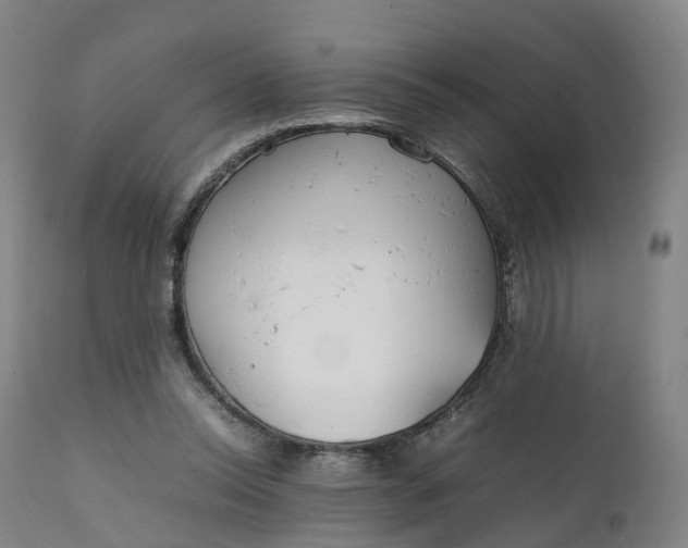 X0000111210350200907151442