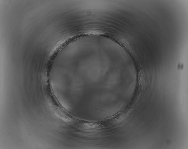 X0000111210351200907151442