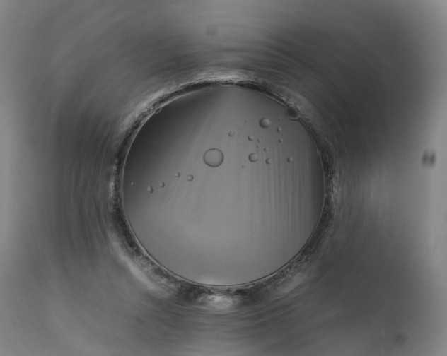 X0000111210352200907151442