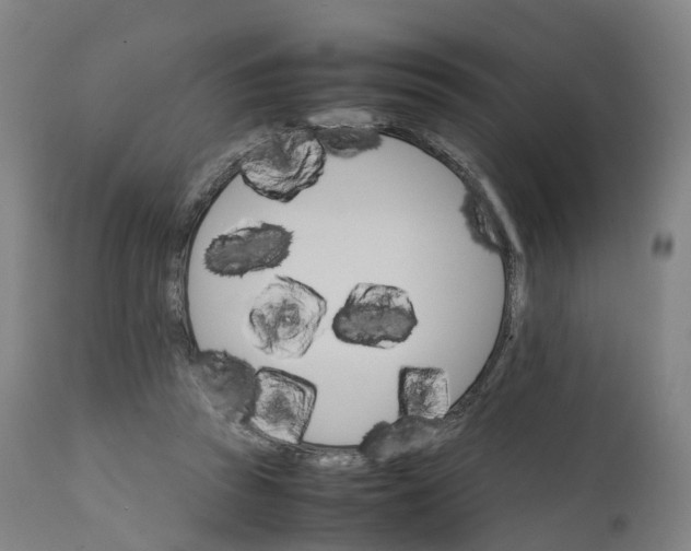 X0000111210353200907151442