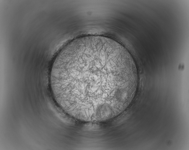 X0000111210354200907151442