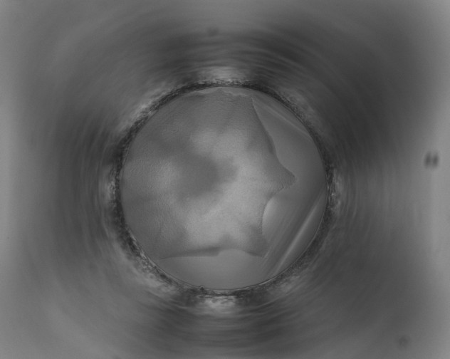 X0000111210355200907151442