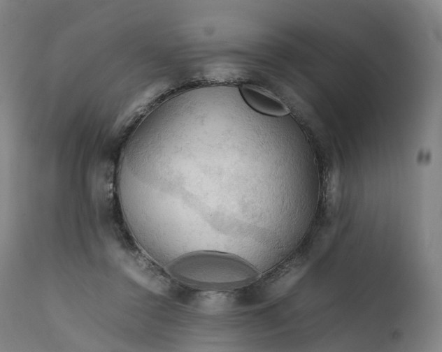 X0000111210356200907151442