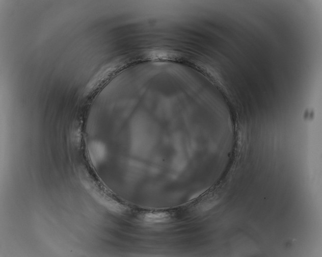 X0000111210357200907151442