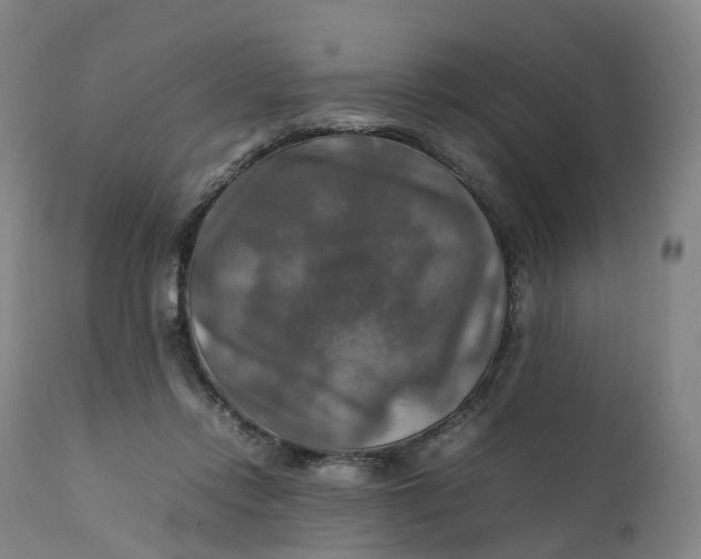 X0000111210358200907151442