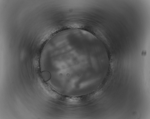 X0000111210359200907151442