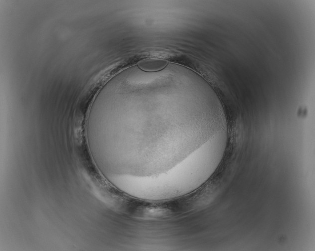 X0000111210360200907151442