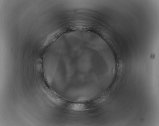 X0000111210361200907151442