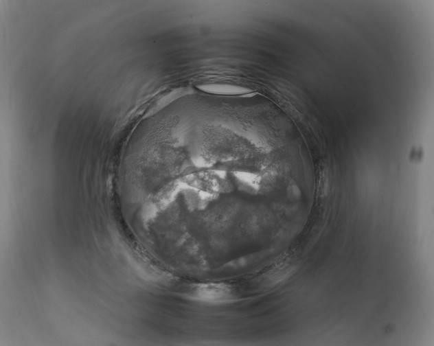 X0000111210363200907151442