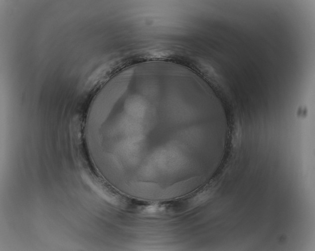 X0000111210366200907151443