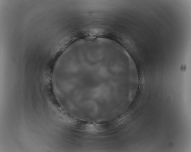 X0000111210367200907151443