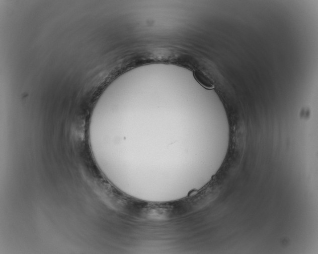 X0000111210368200907151443