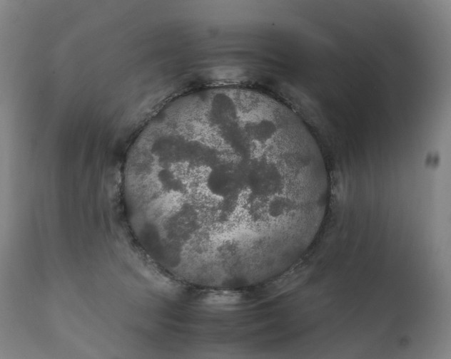 X0000111210369200907151443