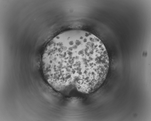 X0000111210370200907151443