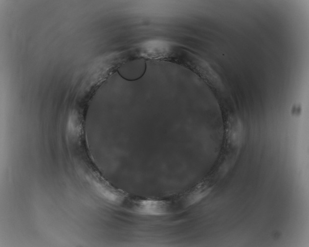 X0000111210371200907151443