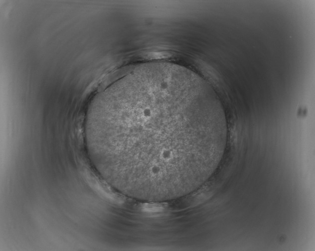 X0000111210373200907151443