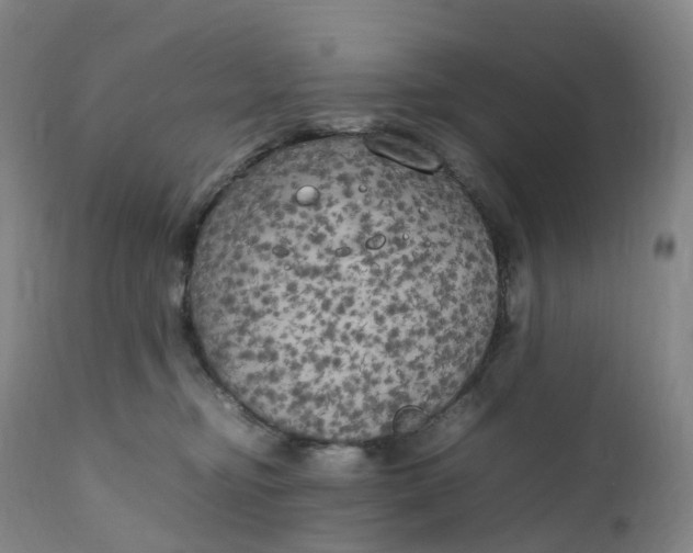 X0000111210374200907151443