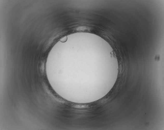 X0000111210375200907151443