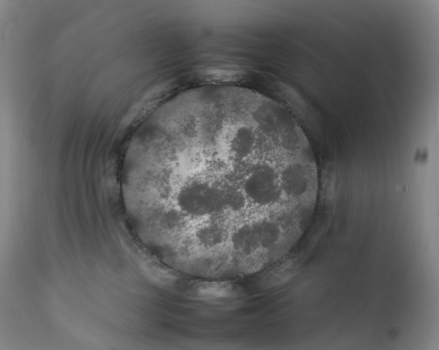 X0000111210377200907151443