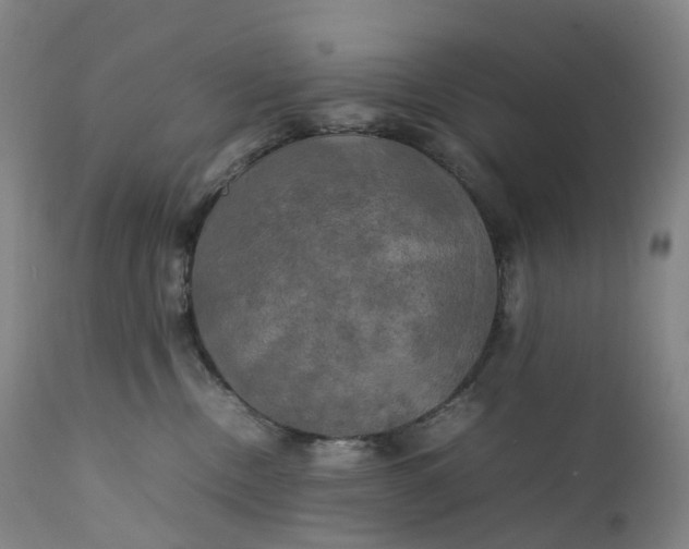 X0000111210378200907151443