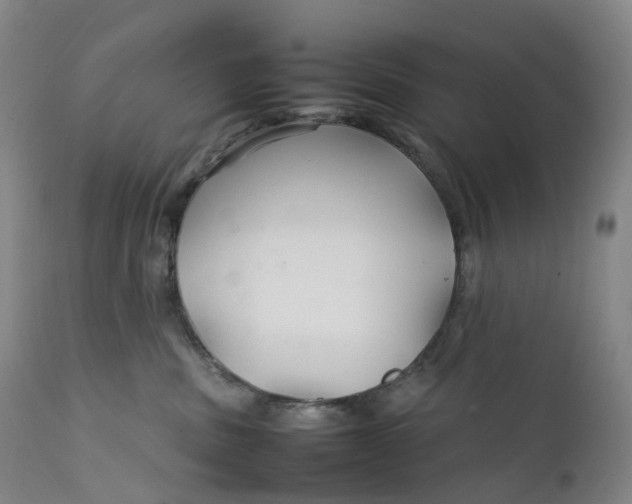 X0000111210379200907151443