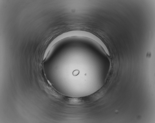 X0000111210380200907151443