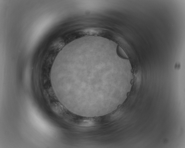 X0000111210381200907151443