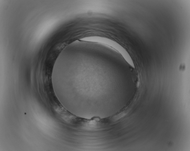 X0000111210382200907151443