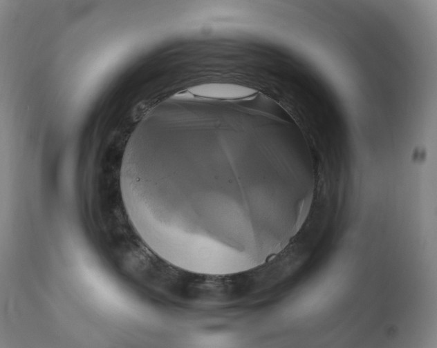 X0000111210383200907151443