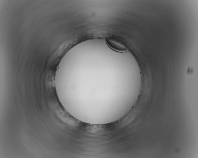 X0000111210384200907151443