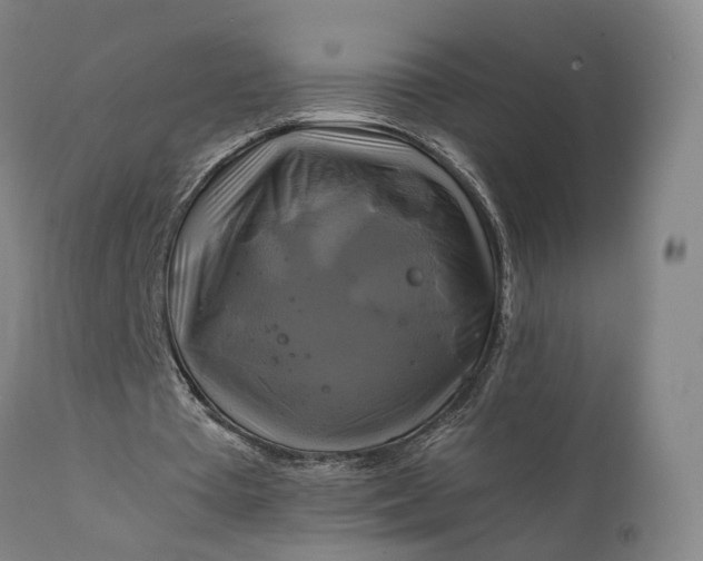 X0000111210385200907151442