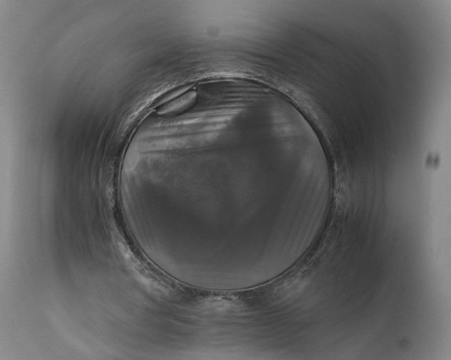 X0000111210386200907151442