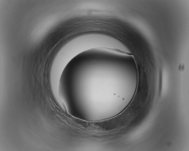 X0000111210387200907151442