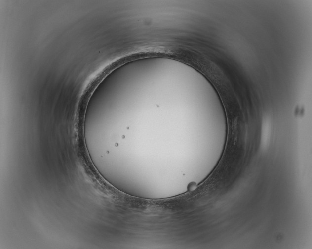 X0000111210388200907151442